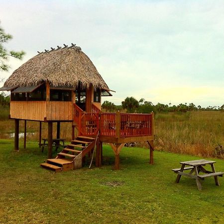Everglades Chickee Cottage & Bungalow - Ochopee Dış mekan fotoğraf
