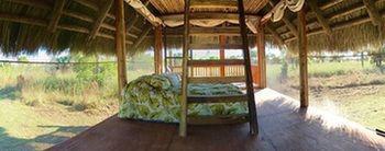 Everglades Chickee Cottage & Bungalow - Ochopee Dış mekan fotoğraf