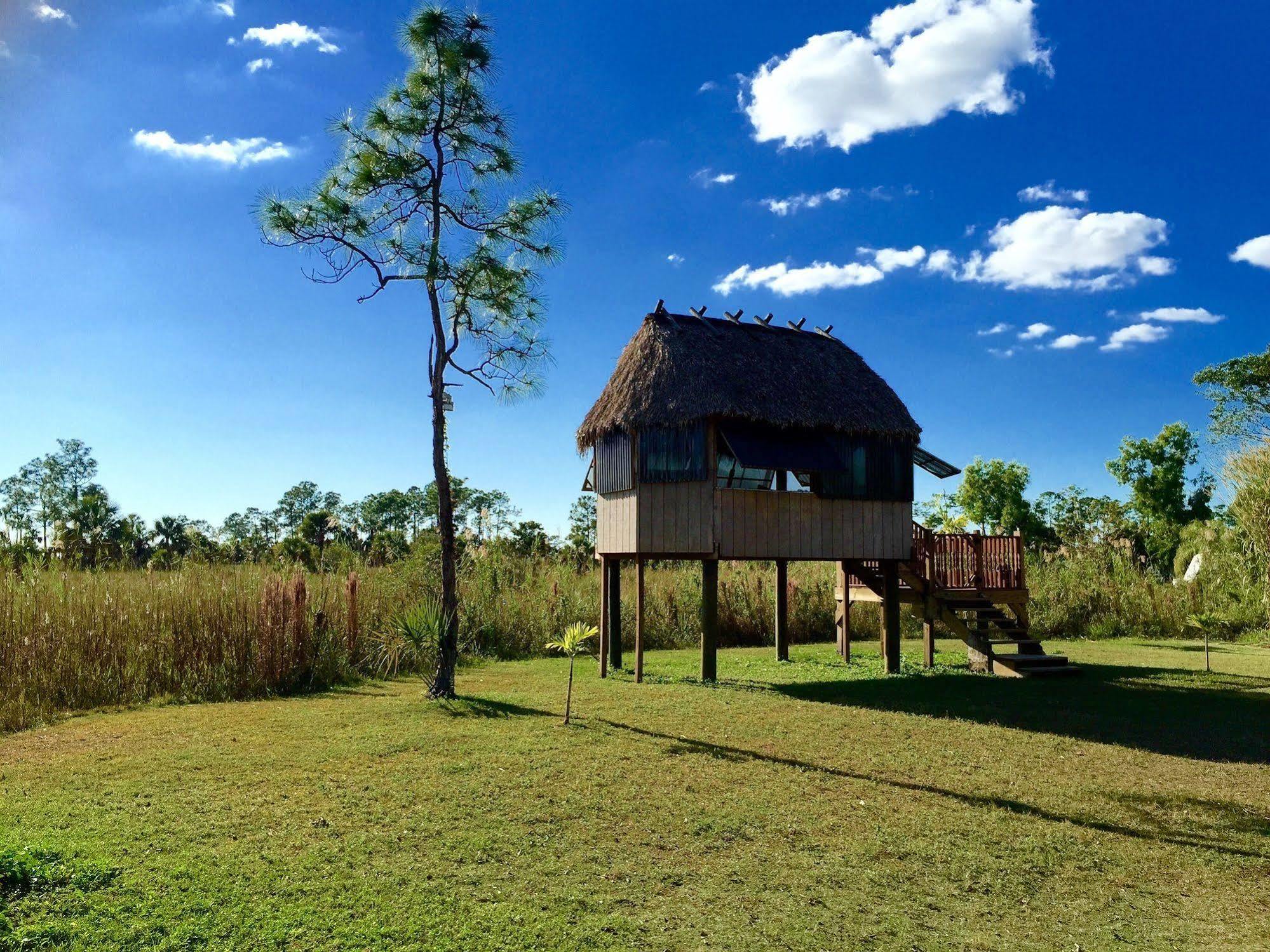 Everglades Chickee Cottage & Bungalow - Ochopee Dış mekan fotoğraf