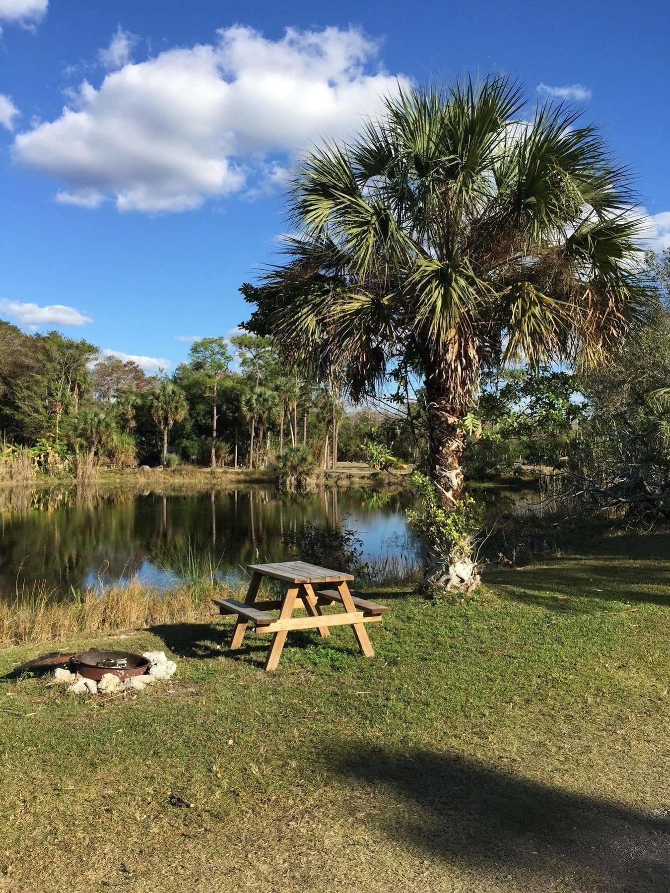 Everglades Chickee Cottage & Bungalow - Ochopee Dış mekan fotoğraf